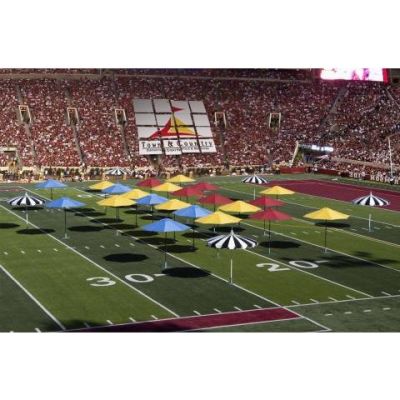 Image two of 9' Trojan Red Market Umbrella